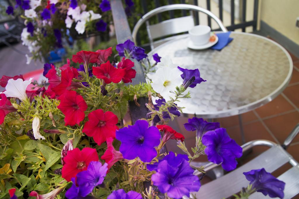 B&B Notti E Dintorni Nicolosi Oda fotoğraf